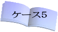 ケース5