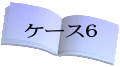 ケース6